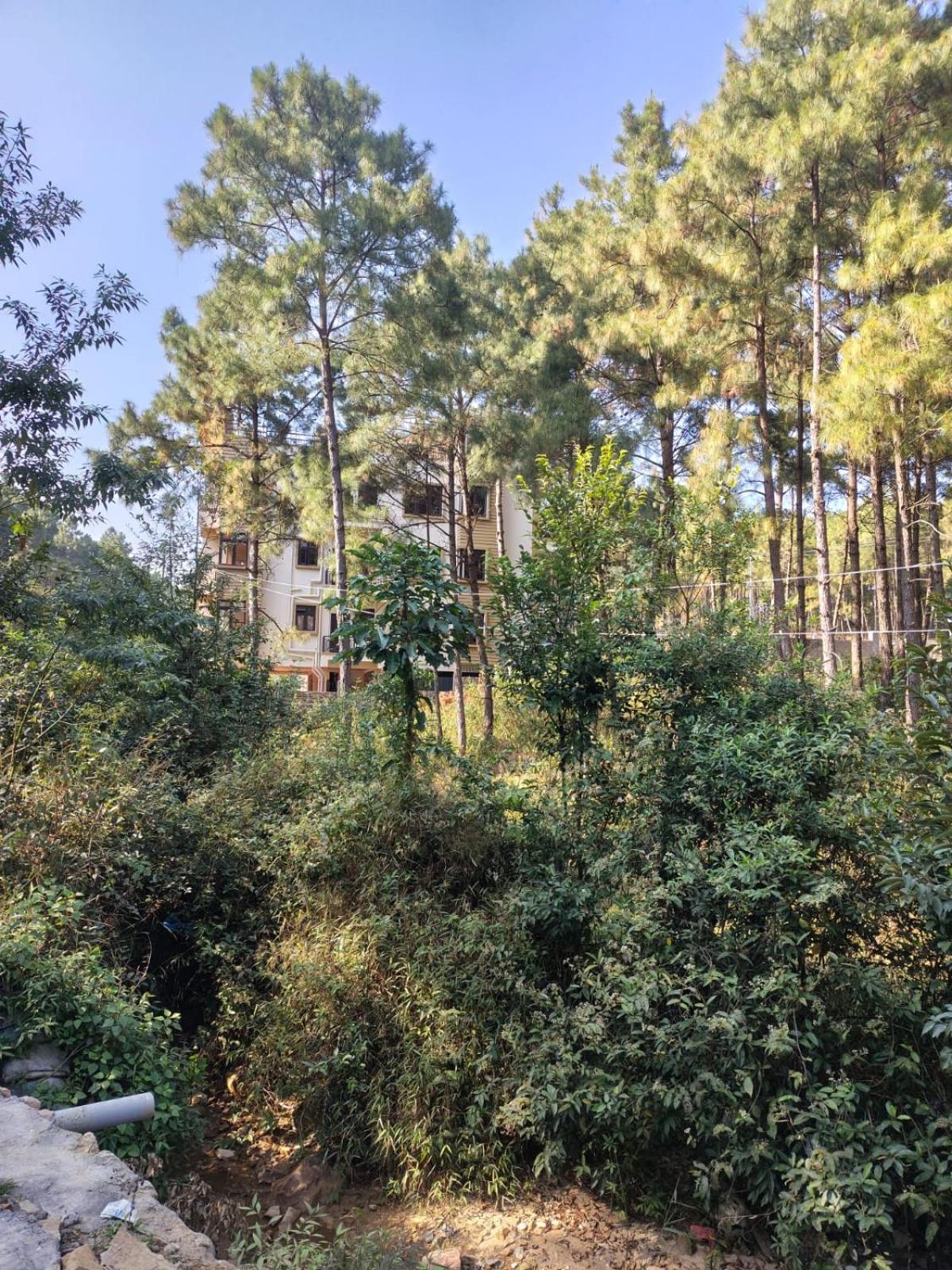Xtsy Travellers Hostel Shillong Ngoại thất bức ảnh