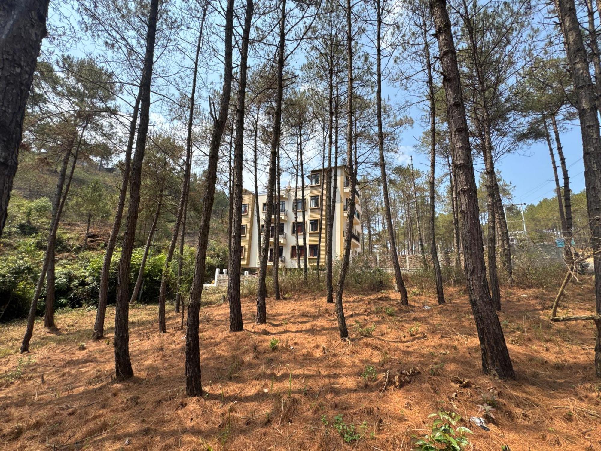 Xtsy Travellers Hostel Shillong Ngoại thất bức ảnh
